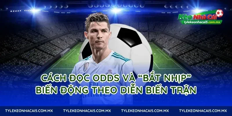 Cách đọc odds và “bắt nhịp” biến động theo diễn biến trận