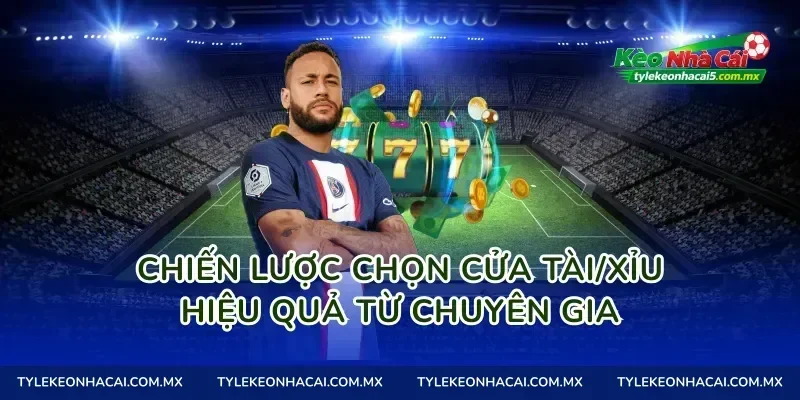 Chiến lược chọn cửa Tài/Xỉu hiệu quả từ chuyên gia