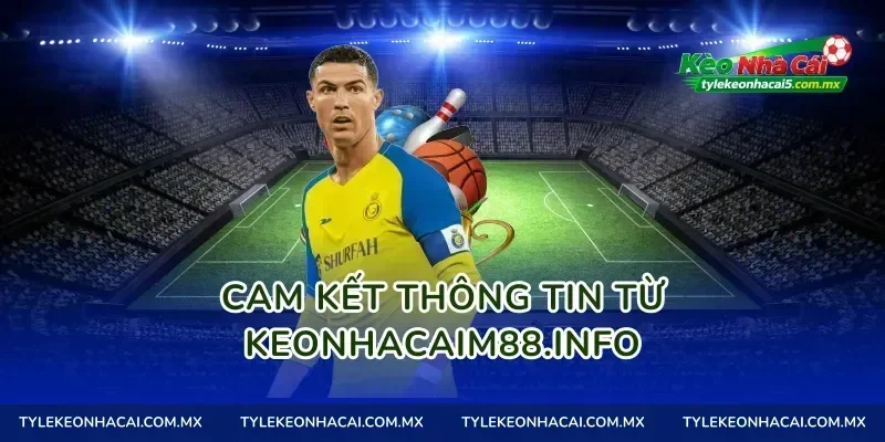 Cam kết thông tin từ seniorhosting.io