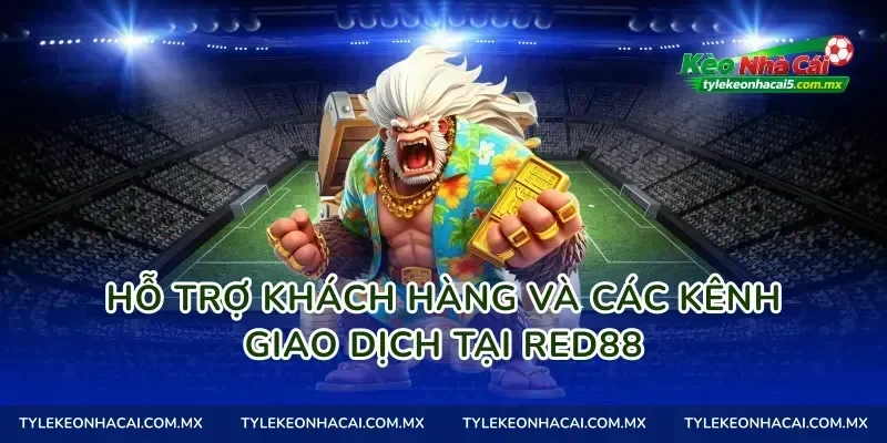 Hỗ trợ khách hàng và các kênh giao dịch tại Red88