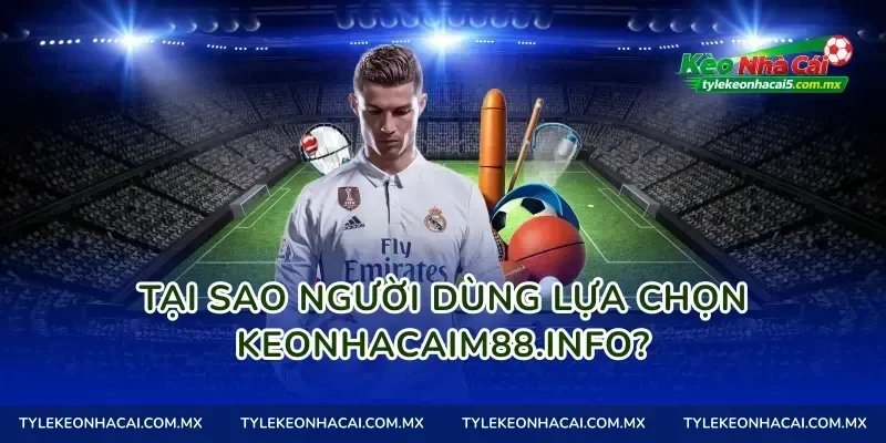 Tại sao người dùng lựa chọn seniorhosting.io?
