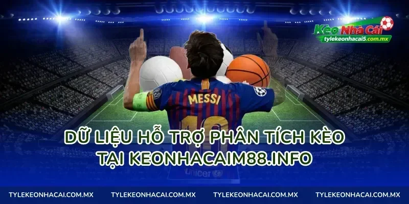 Dữ liệu hỗ trợ phân tích kèo tại seniorhosting.io